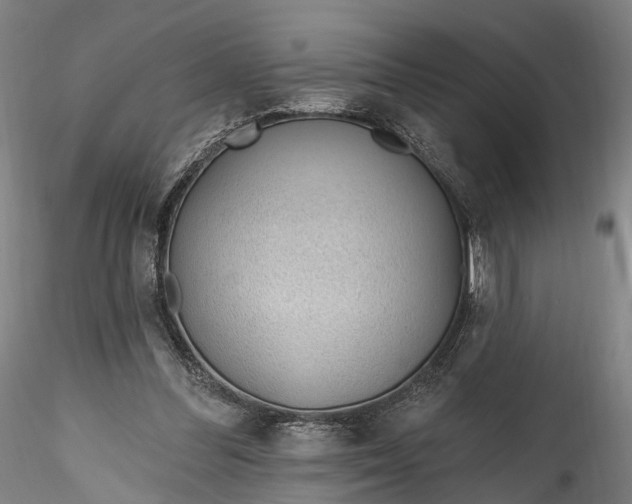 X0000115770300200911271147