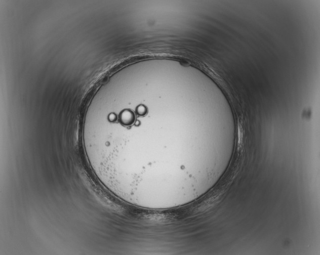 X0000115770301200911271147