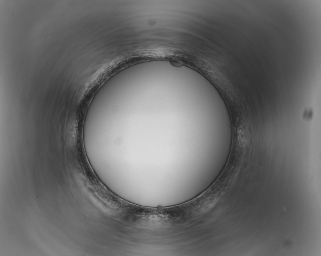 X0000115770304200911271147