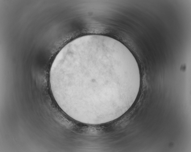 X0000115770305200911271147