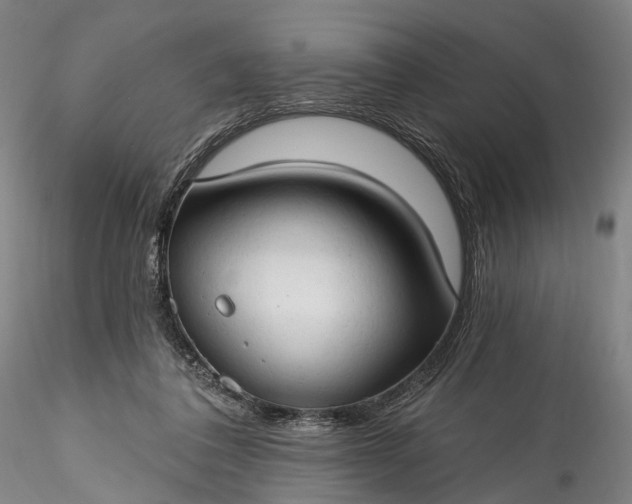 X0000115770308200911271147