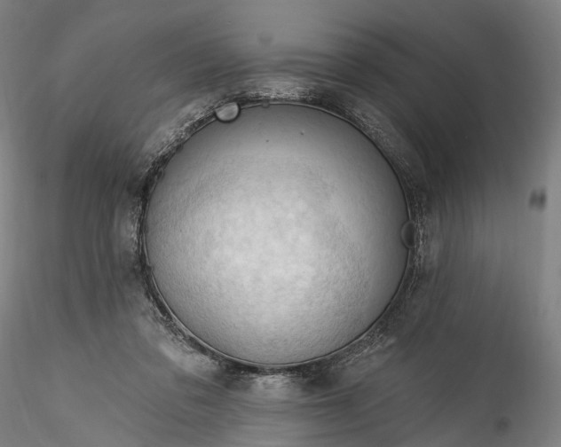 X0000115770309200911271147