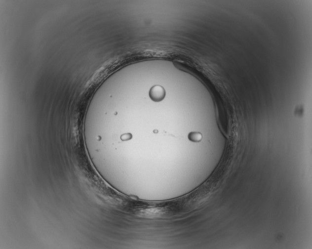 X0000115770312200911271147