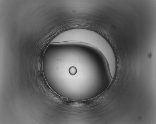 X0000115770313200911271147