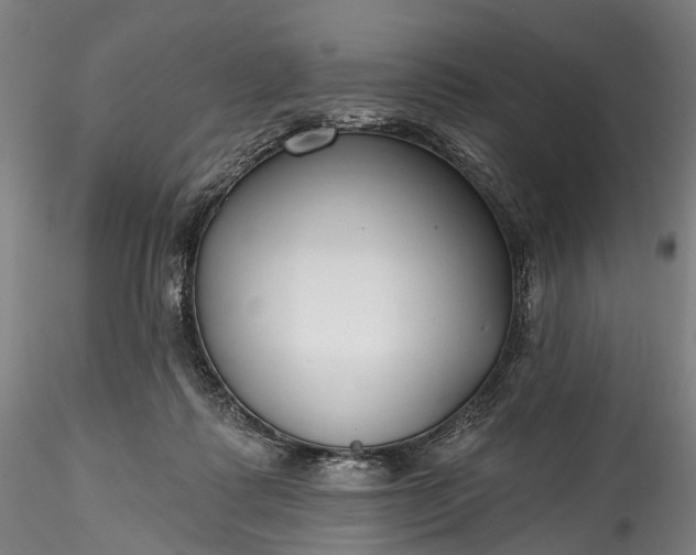 X0000115770315200911271147