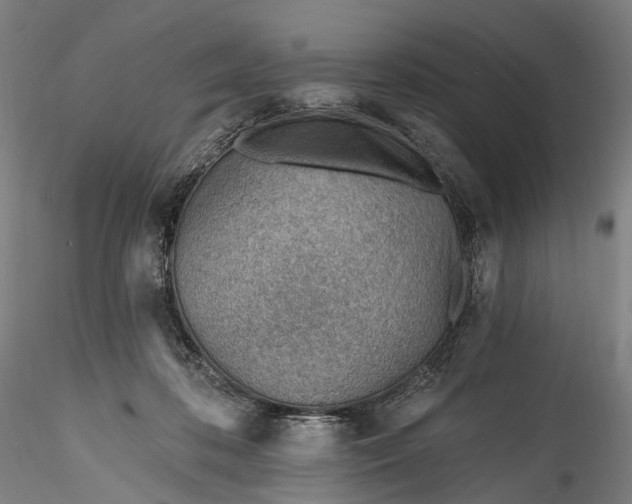 X0000115770316200911271147