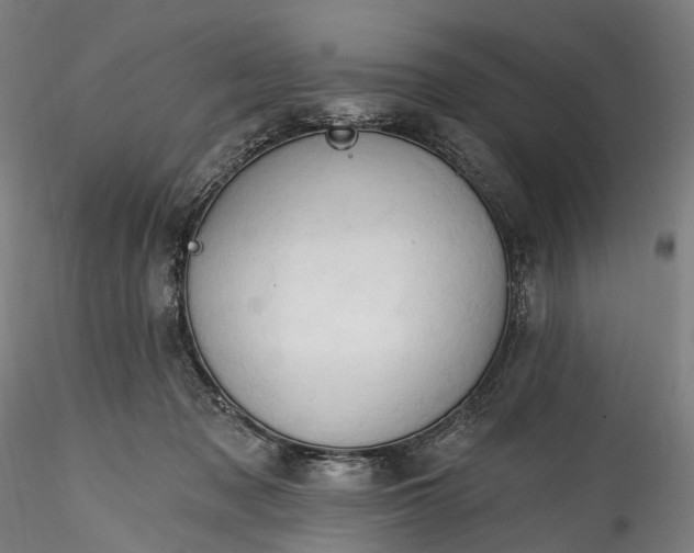 X0000115770317200911271147