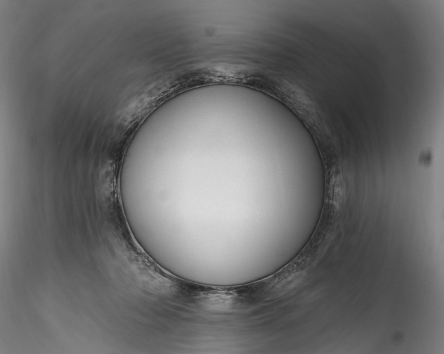 X0000115770318200911271147