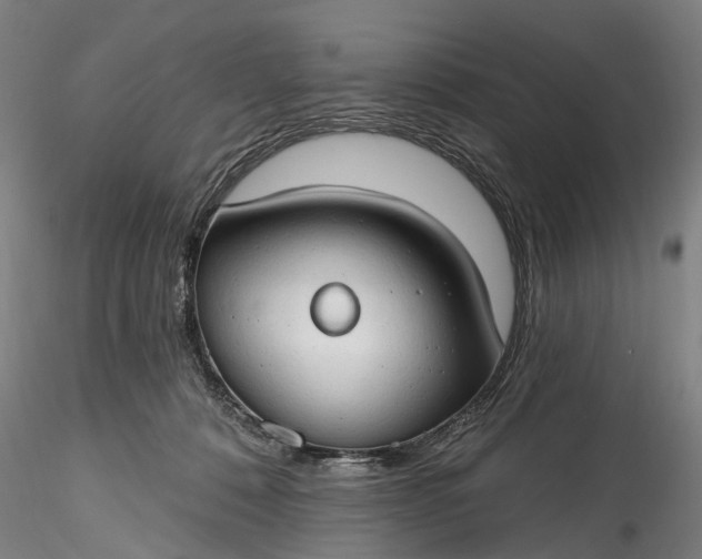 X0000115770320200911271147