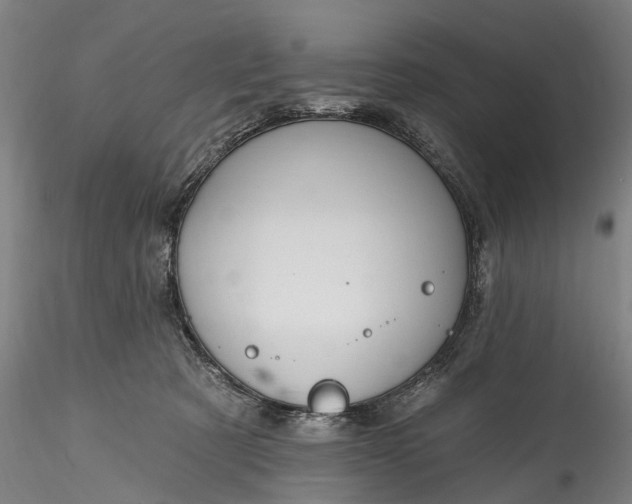 X0000115770321200911271147