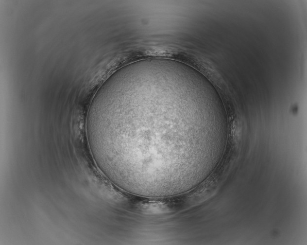 X0000115770322200911271147