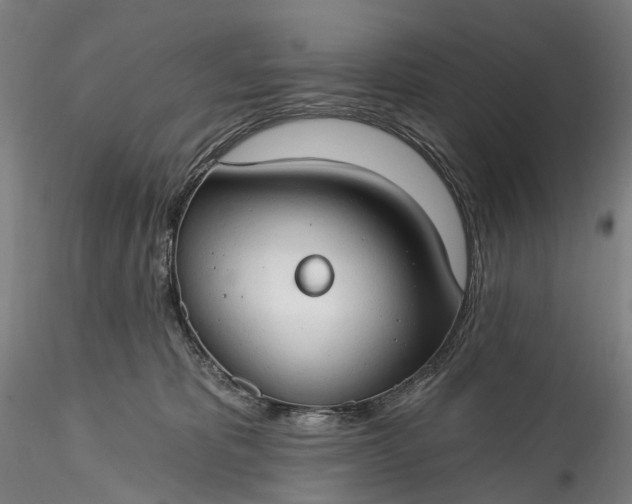 X0000115770325200911271147