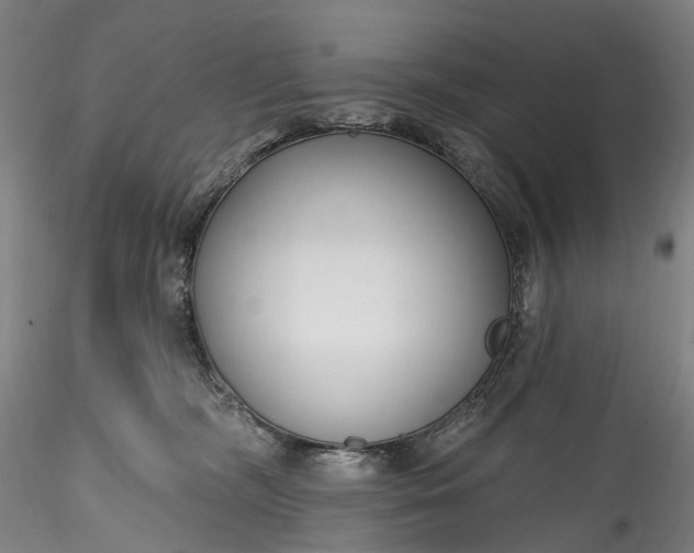 X0000115770326200911271147