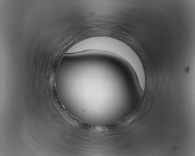 X0000115770329200911271146