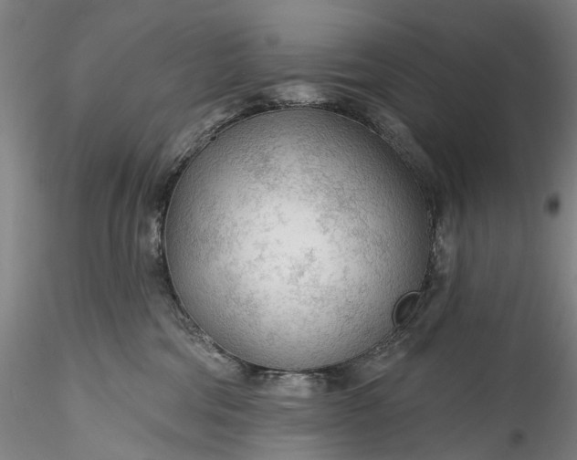 X0000115770330200911271146