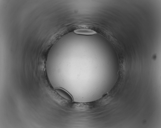 X0000115770331200911271146