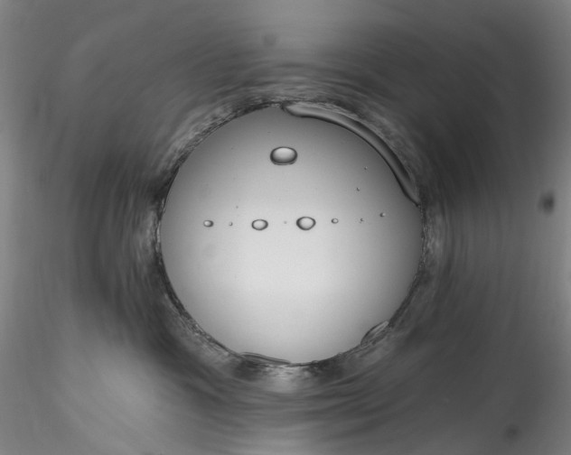 X0000115770333200911271146