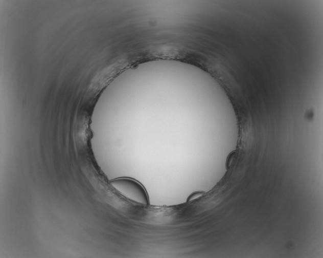 X0000115770334200911271146