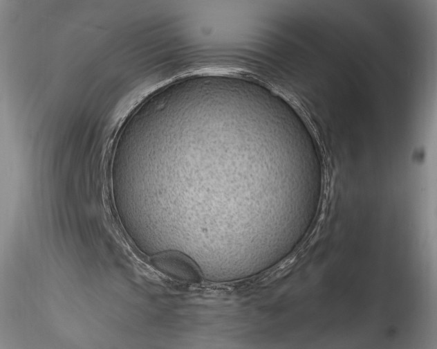 X0000115770337200911271146