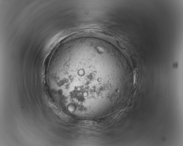 X0000115770339200911271146