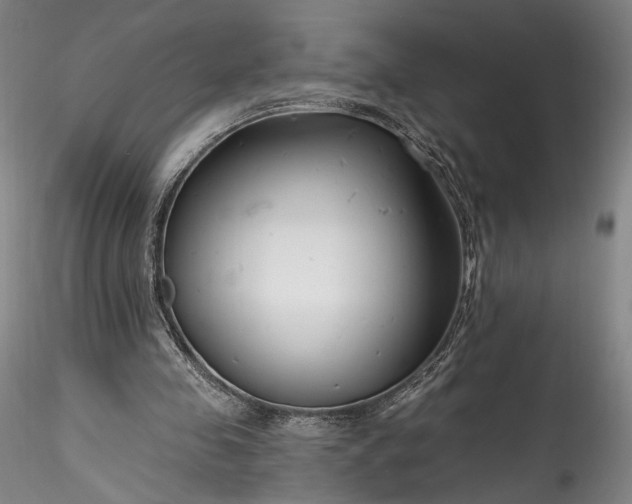 X0000115770341200911271146