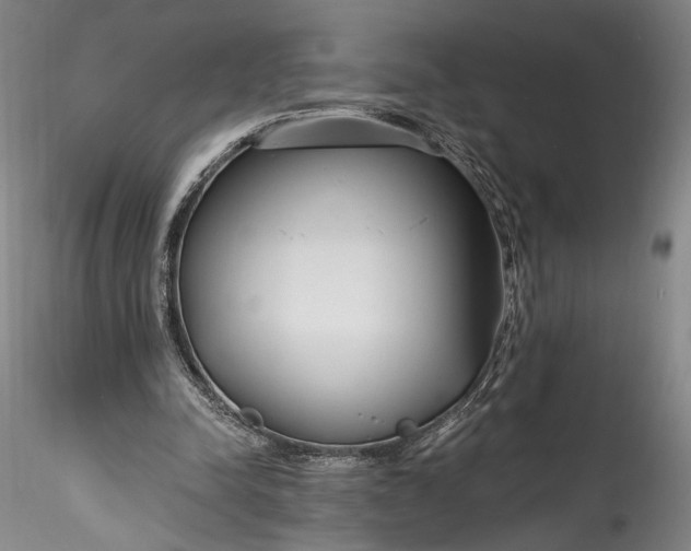 X0000115770342200911271146