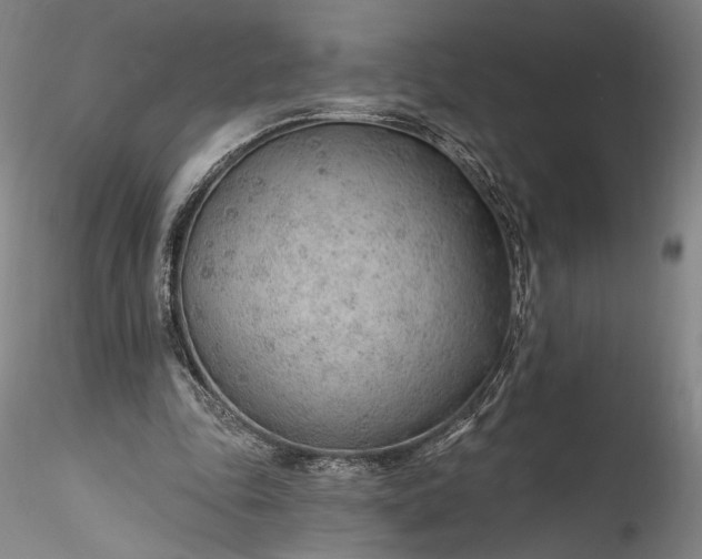 X0000115770343200911271146