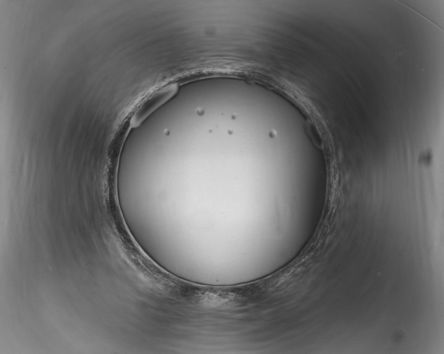 X0000115770346200911271146