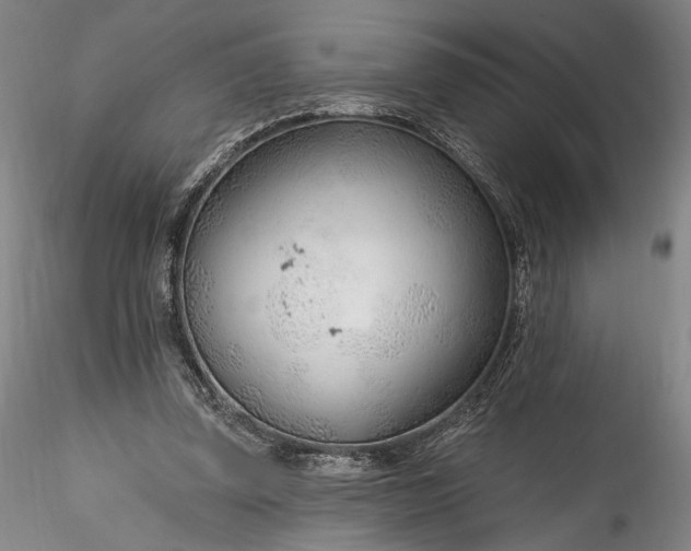 X0000115770347200911271146