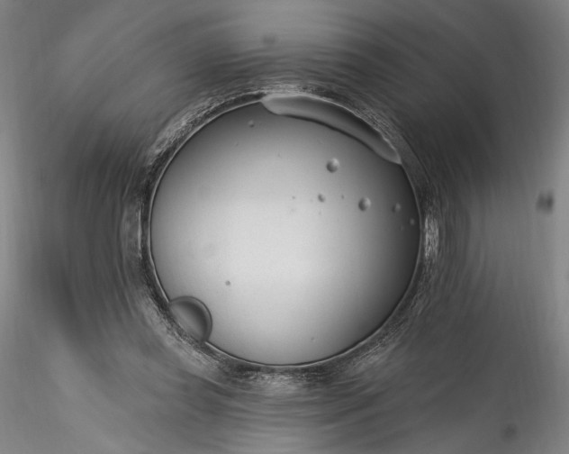 X0000115770349200911271146