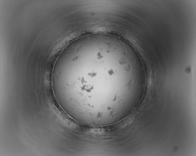 X0000115770353200911271146