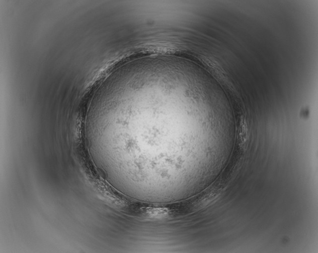 X0000115770355200911271146