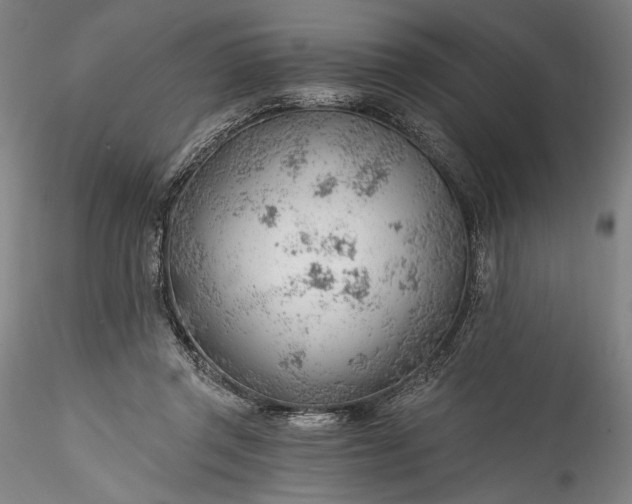 X0000115770357200911271146