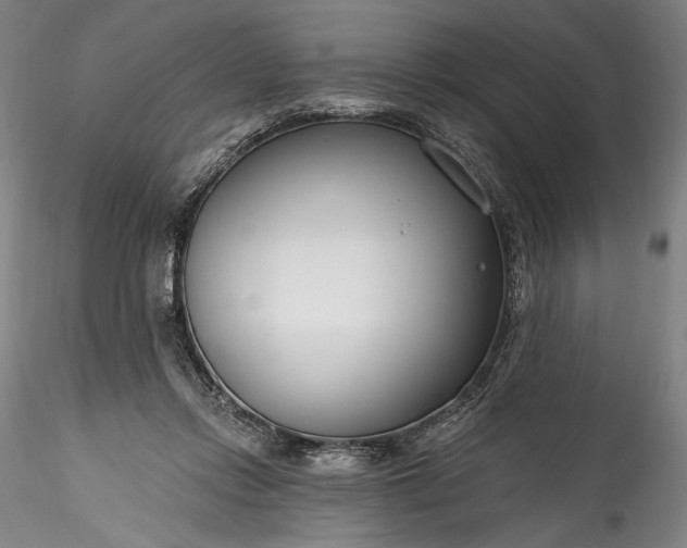 X0000115770358200911271146