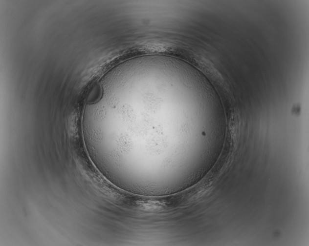 X0000115770359200911271146