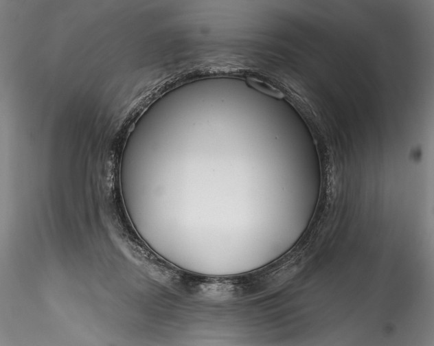 X0000115770362200911271146