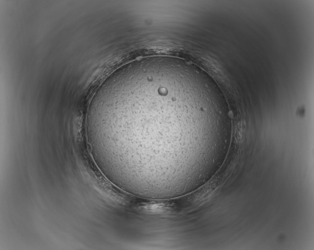 X0000115770365200911271146