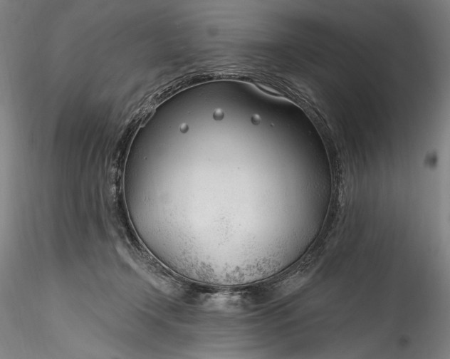 X0000115770366200911271146