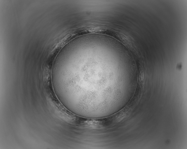 X0000115770367200911271146