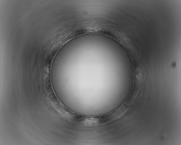 X0000115770369200911271146