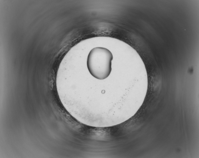 X0000115770370200911271146