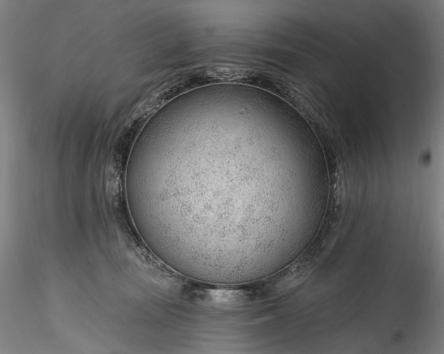 X0000115770371200911271146