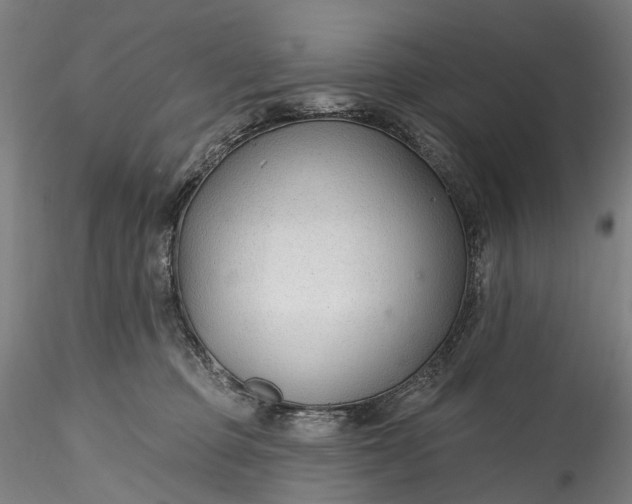 X0000115770373200911271146