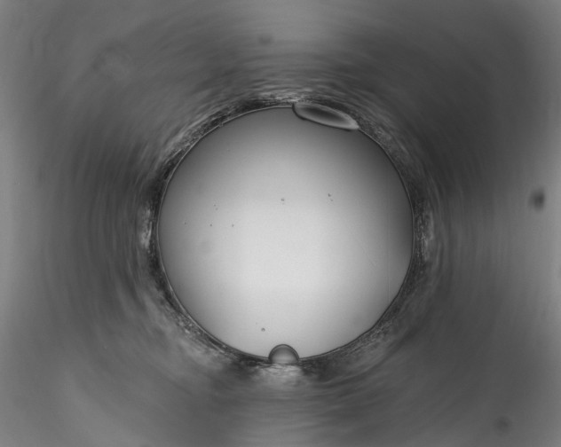 X0000115770374200911271146