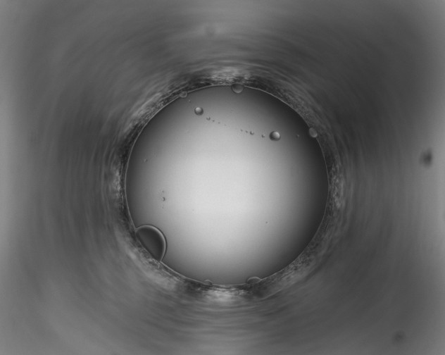 X0000115770375200911271146