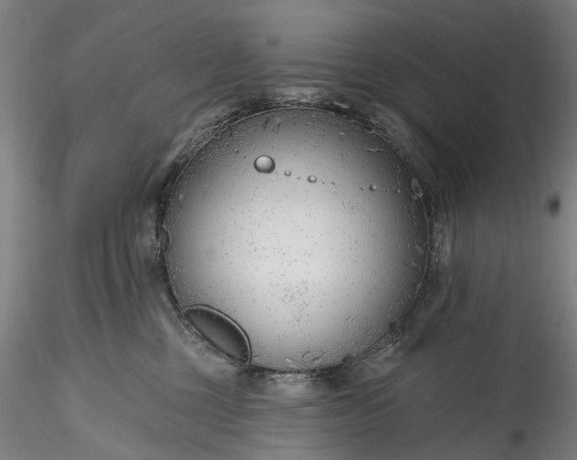 X0000115770377200911271146