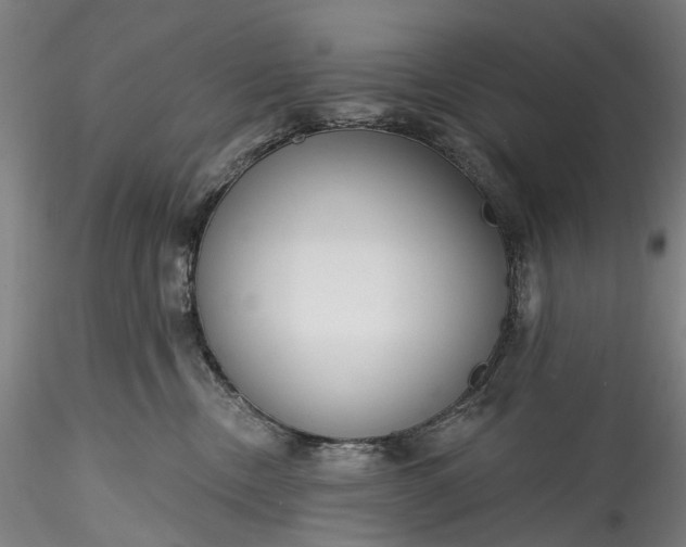 X0000115770378200911271146