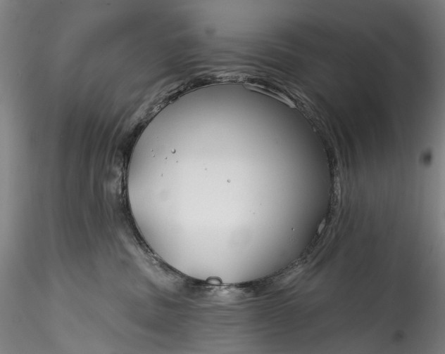 X0000115770379200911271146