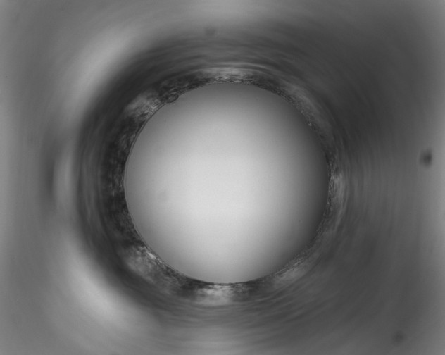 X0000115770381200911271146