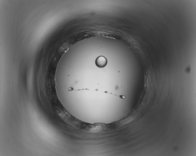 X0000115770382200911271146